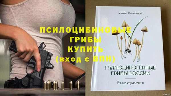 меф Пестово