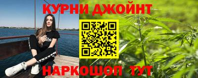 спиды Бийск