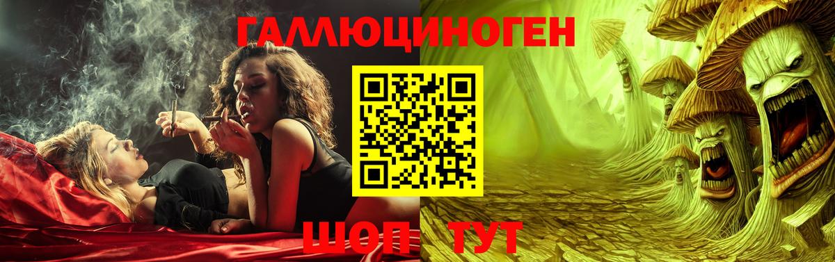 Галлюциногенные грибы Cubensis Богородск